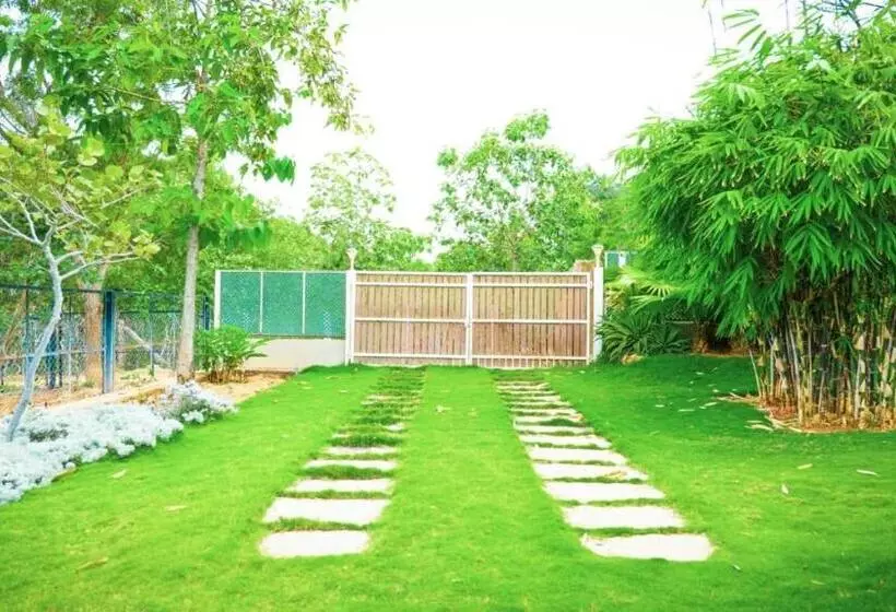 ホテル Divine Nature Homestay