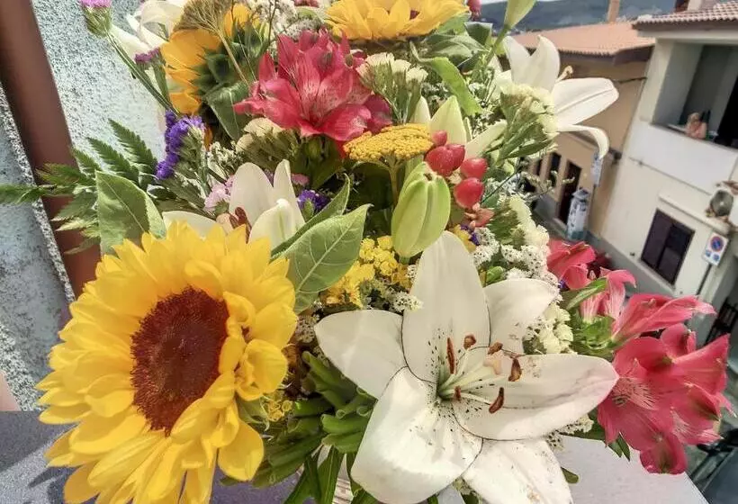 Il Bed And Breakfast Al Centro