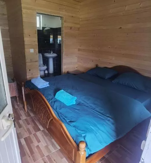ペンション Guesthouse Artani,