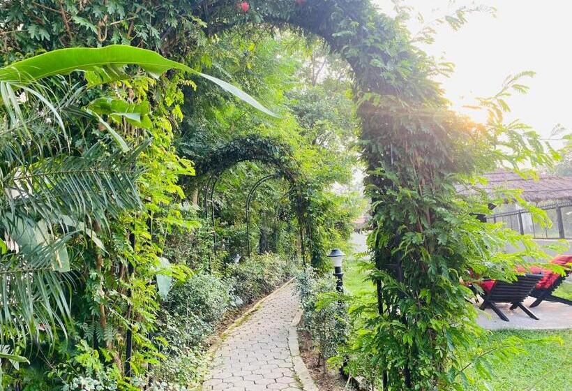 استراحتگاه Motherland Sauraha