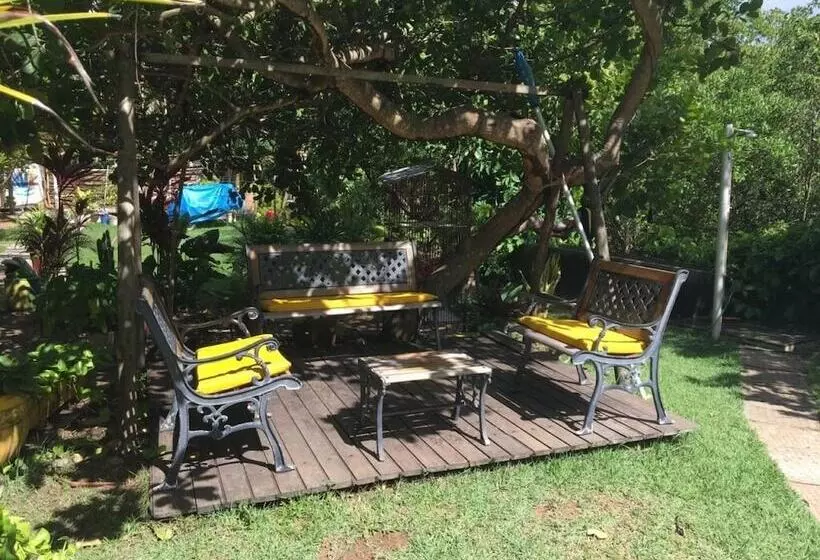 簡易ホテル Pousada E Restaurante Tabuba Beach