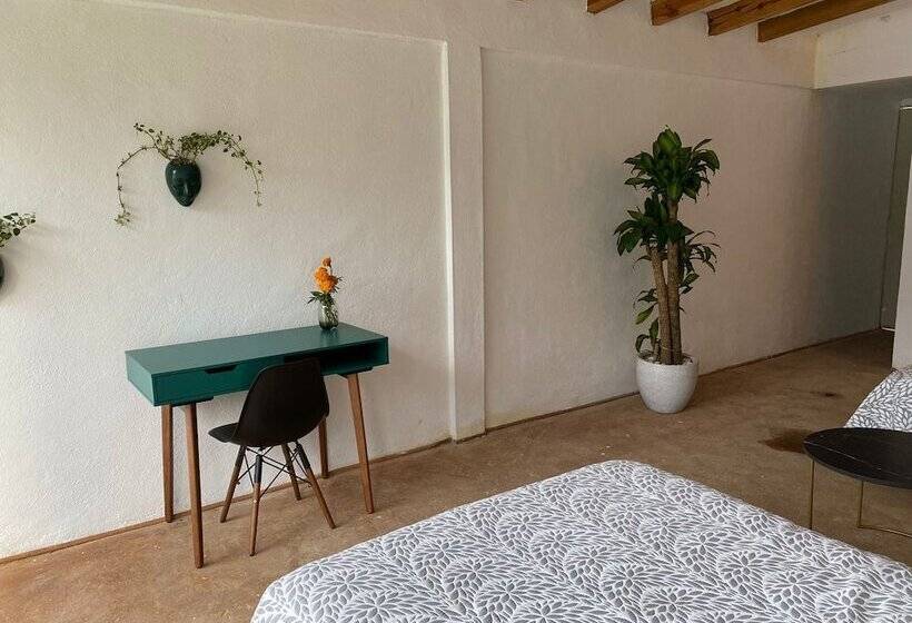 هتل Brida Tlayacapan