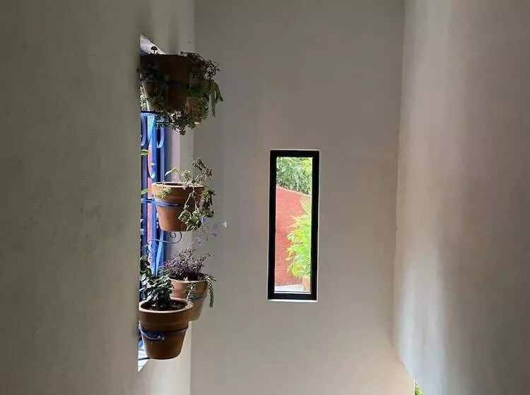 ホテル Hospedaje Anturios