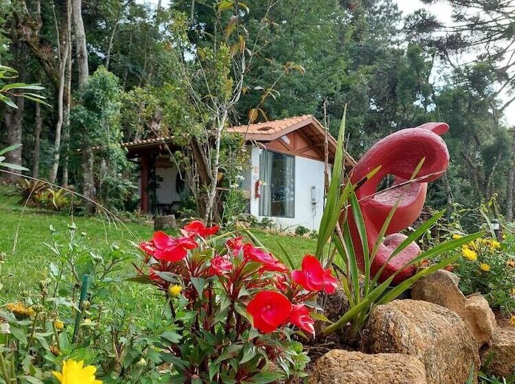 ホテル Chalés Anecuem