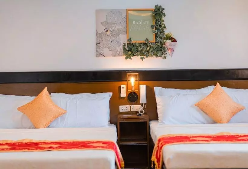 Island Wanderers Inn