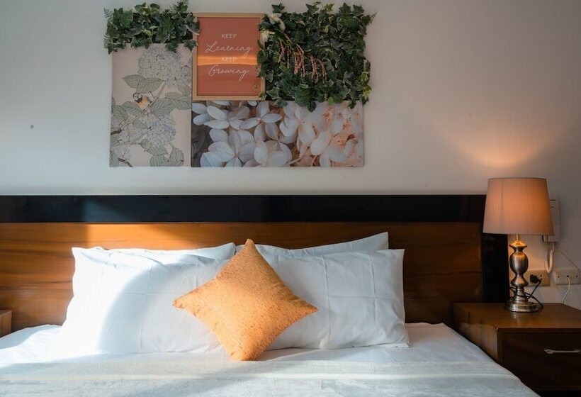 Island Wanderers Inn