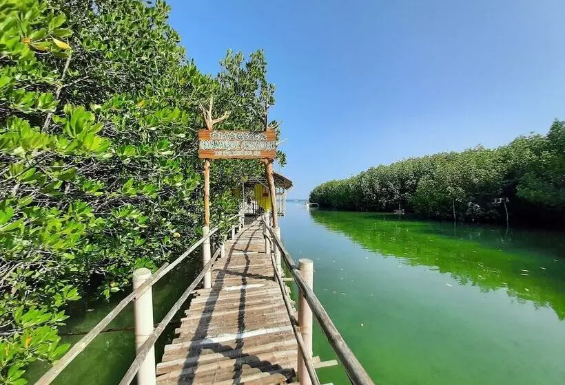 ペンション Hey Mojo Guesthouse