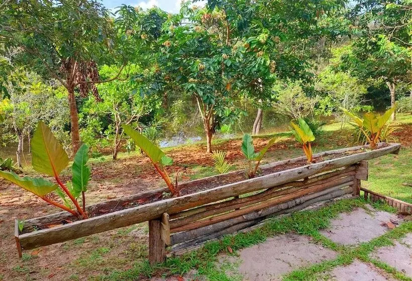 リゾートホテル Ponta Poranga Jungle Lodge
