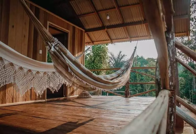 リゾートホテル Ponta Poranga Jungle Lodge