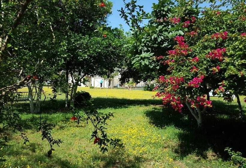 Saint Francis Bed & Breakfast