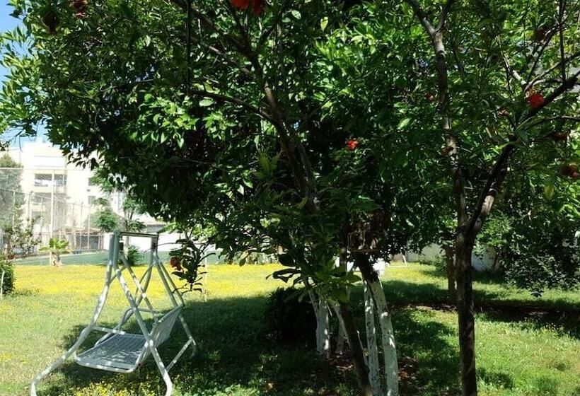 Saint Francis Bed & Breakfast