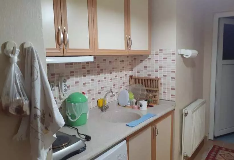 çağdaş Evler