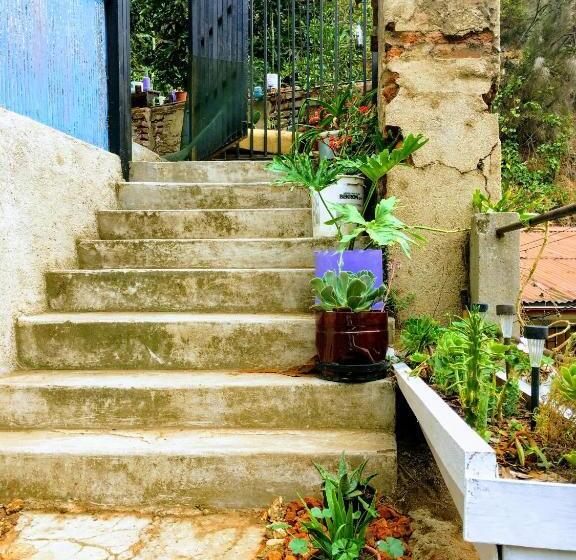 هاستل Selva Hospedaje