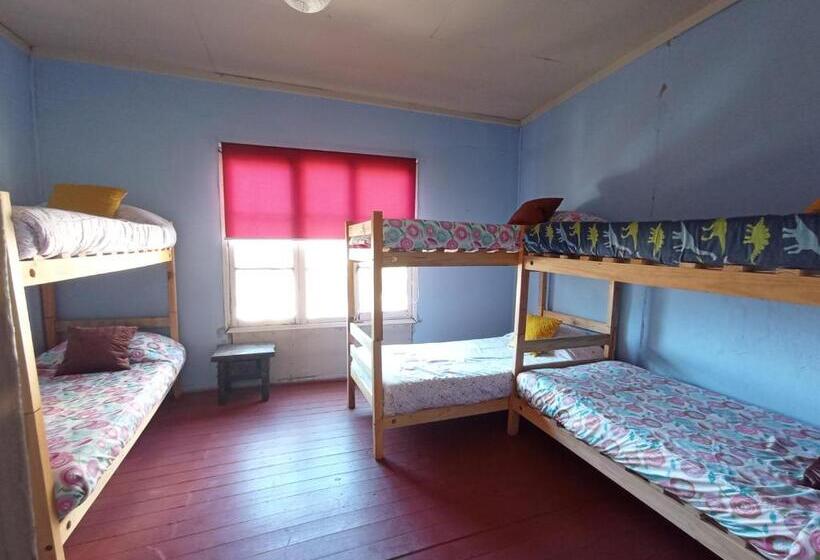 هاستل Selva Hospedaje