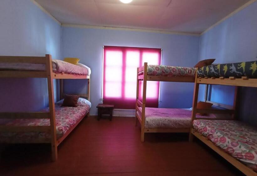 هاستل Selva Hospedaje