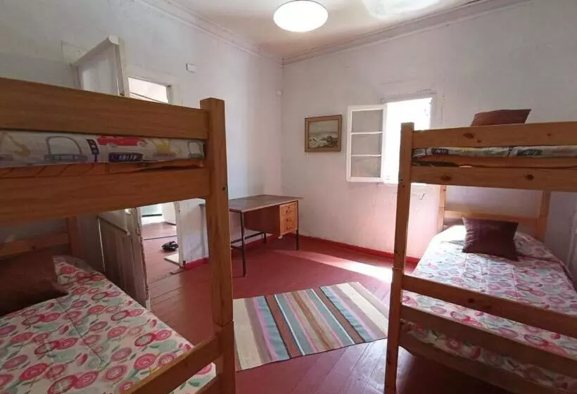 هاستل Selva Hospedaje