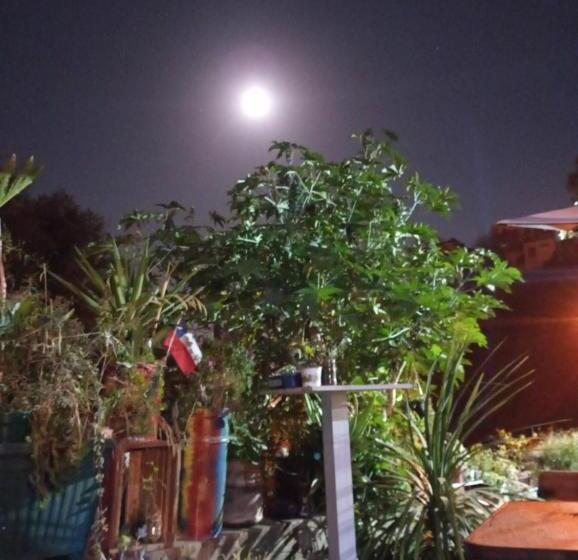 هاستل Selva Hospedaje