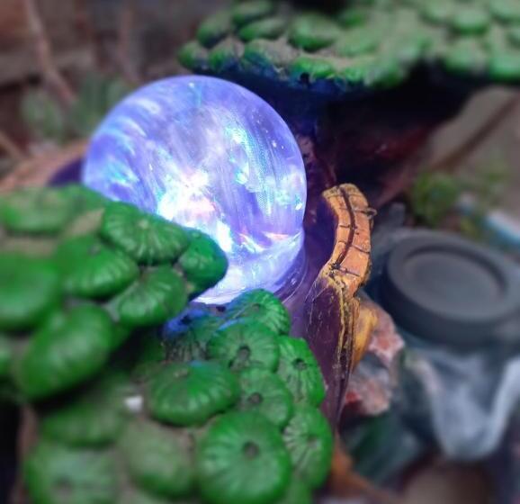 هاستل Selva Hospedaje