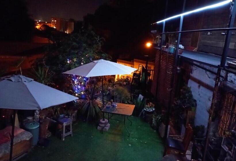 هاستل Selva Hospedaje