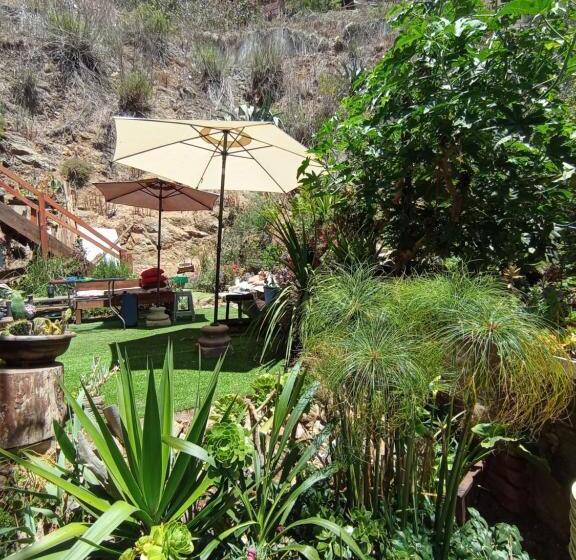 هاستل Selva Hospedaje