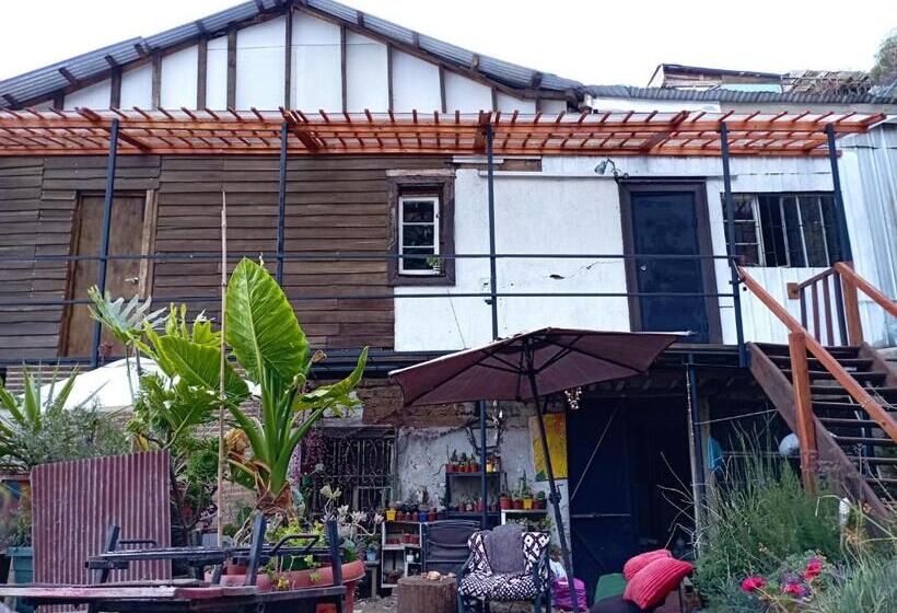 هاستل Selva Hospedaje