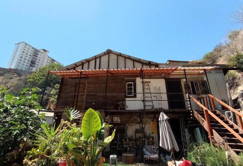 هاستل Selva Hospedaje