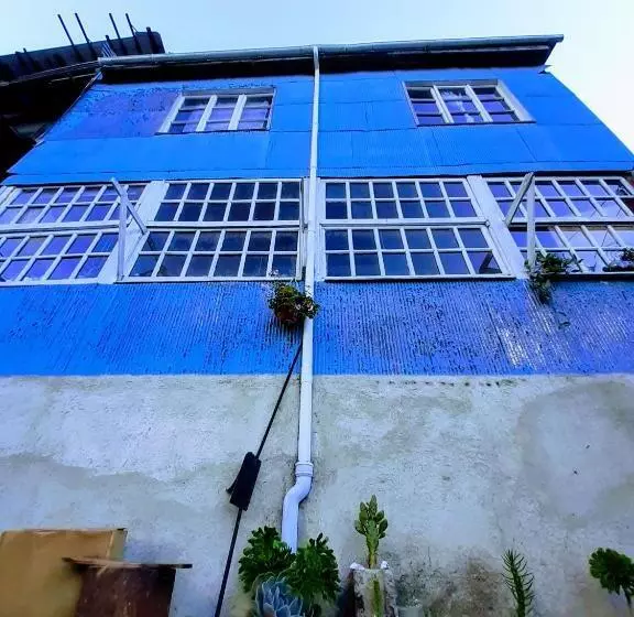 هاستل Selva Hospedaje
