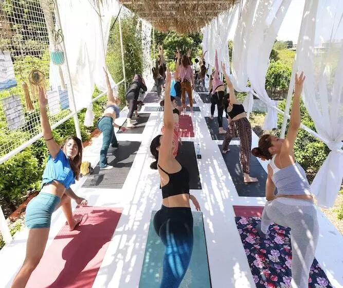 تختخواب و صبحانه Mayouli Nature Retreat