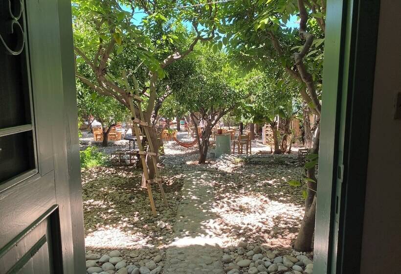 تختخواب و صبحانه Mayouli Nature Retreat