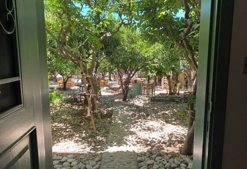 تختخواب و صبحانه Mayouli Nature Retreat