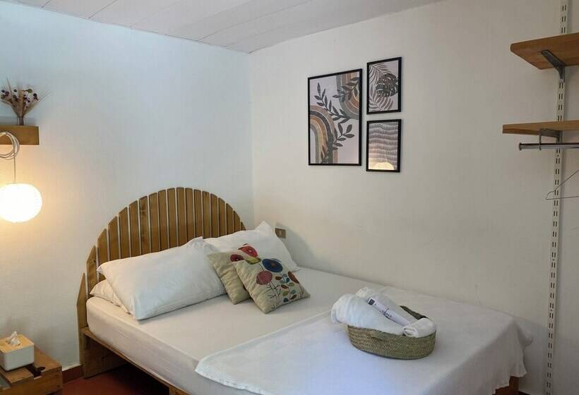 تختخواب و صبحانه Mayouli Nature Retreat