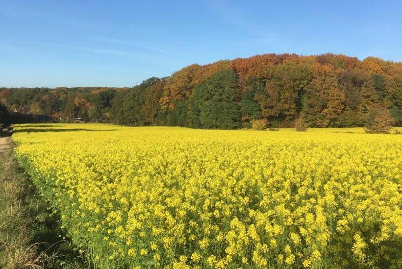 مبيت وإفطار Villa Helena