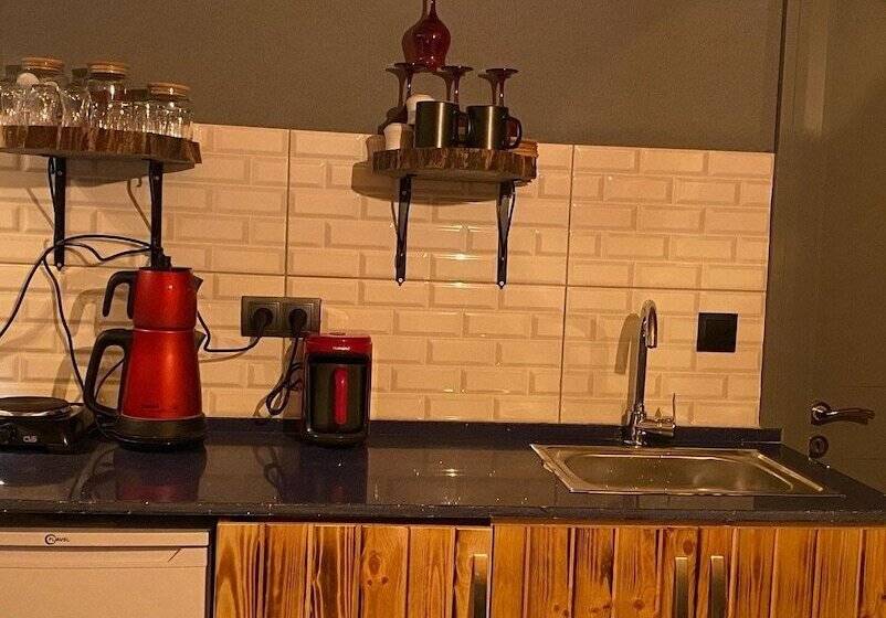 فندق فئة نجمة واحدة Silent Hill Bungalow