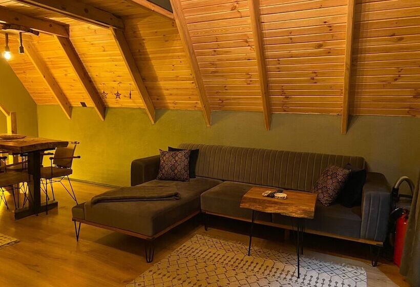 فندق فئة نجمة واحدة Silent Hill Bungalow