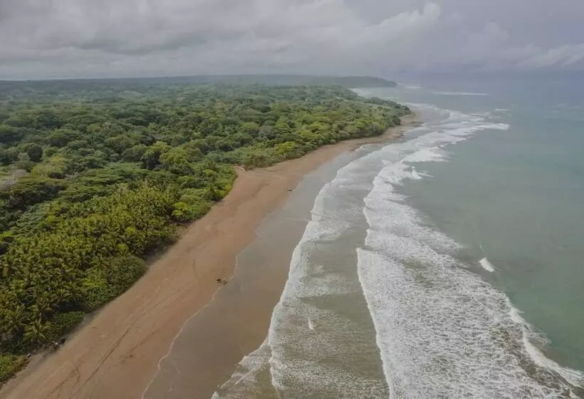 هتل Bohemia Experience