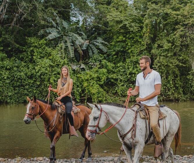 هتل Bohemia Experience