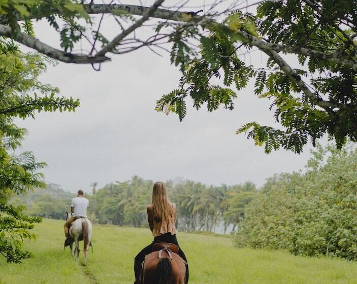 هتل Bohemia Experience