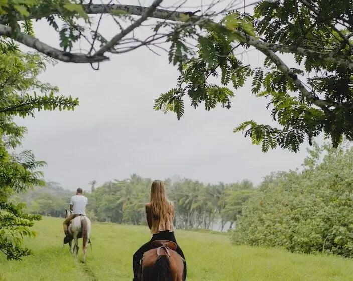 هتل Bohemia Experience