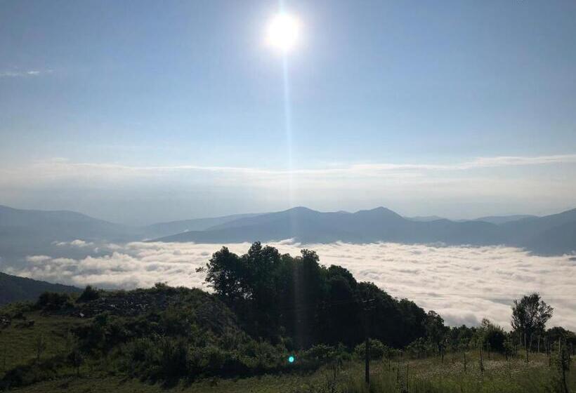 酒店 Chestnut Hill