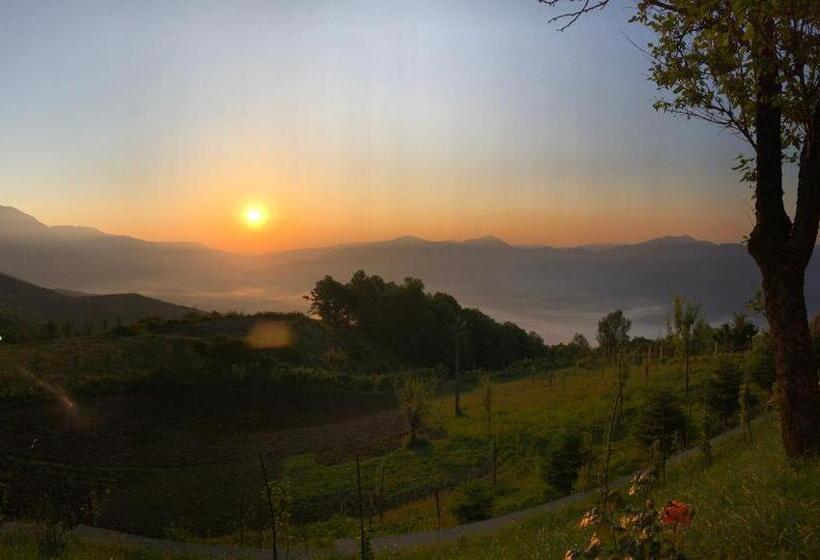 酒店 Chestnut Hill