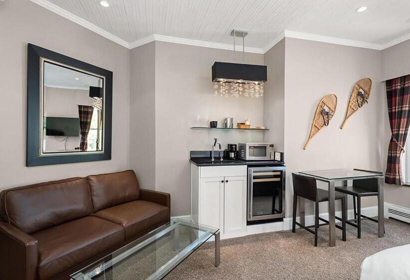 Independence Square 302, Top Floor Stylish Hotel Room With Wet Bar, A/c, In Downtown Aspen