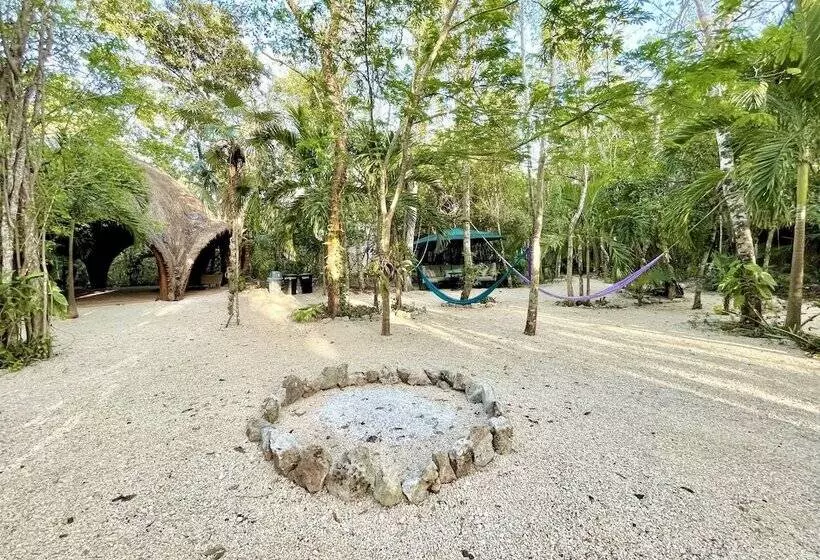 هتل Ku Kuk Glamping