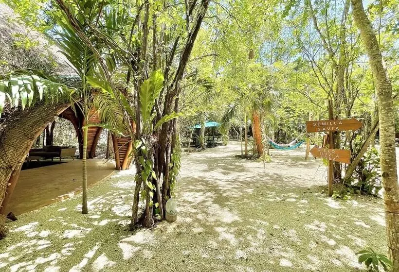 هتل Ku Kuk Glamping