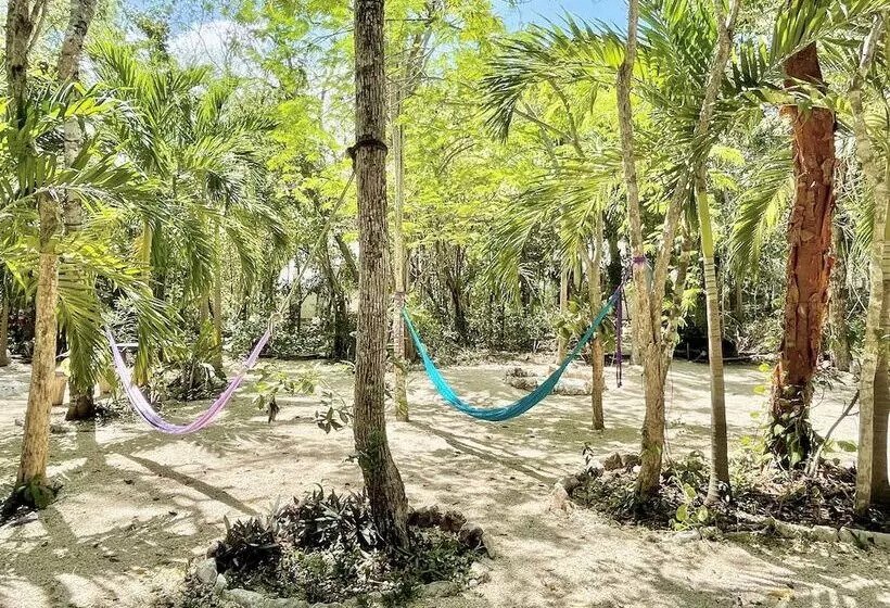 هتل Ku Kuk Glamping