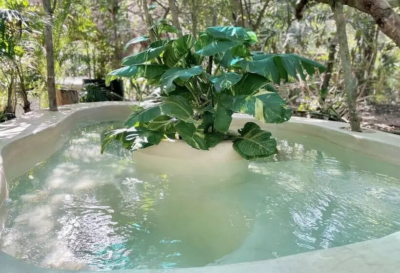 هتل Ku Kuk Glamping