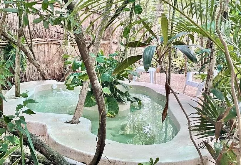 هتل Ku Kuk Glamping