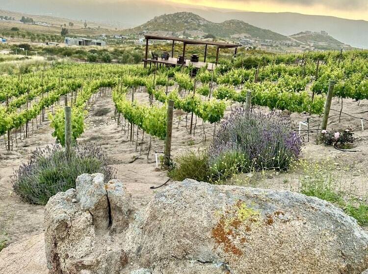 ホテル Por Siempre Valle