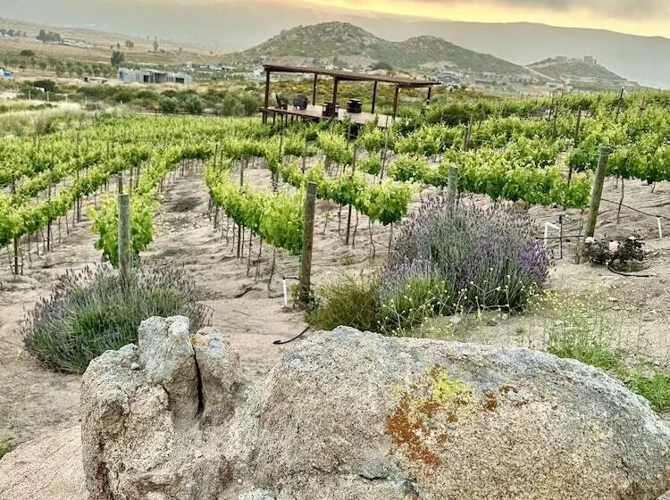 Hotelli Por Siempre Valle