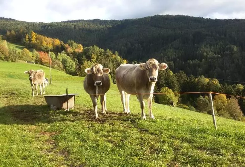 Hotelli Proderhof