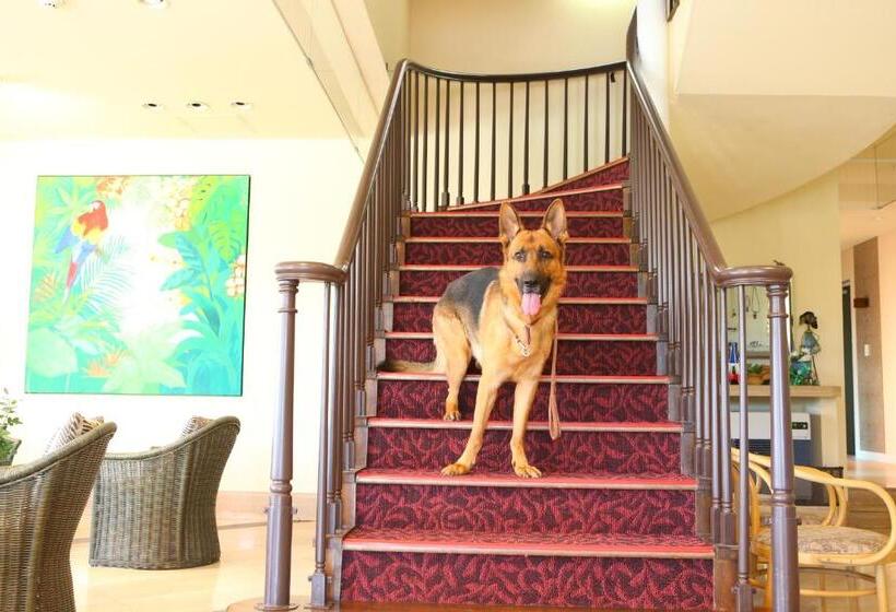 Karuizawa Hotel Soyokaze